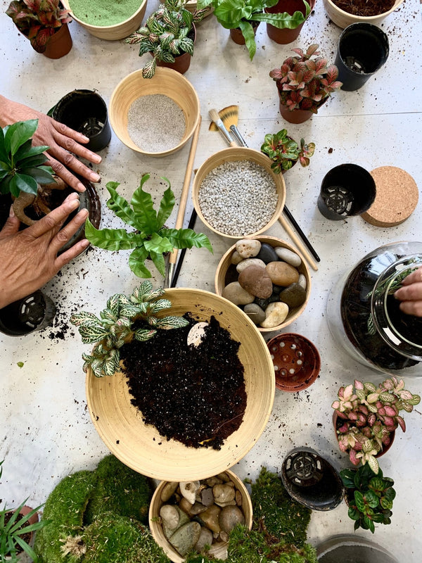5 ateliers DIY pour une évasion végétale et florale au coeur de Paris - La Green Touch - La Green Touch