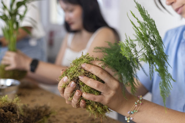 Atelier Kokedama Ă Bordeaux : apprenez lâart floral japonais et crĂ©ez votre boule de mousse suspendue - La Green Touch