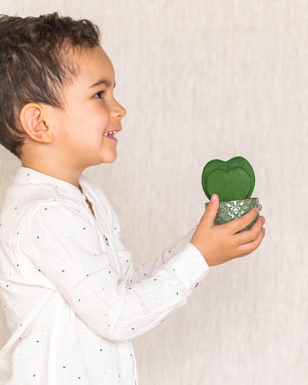 Quelles plantes offrir pour la fĂȘte des mĂšres ? - La Green Touch