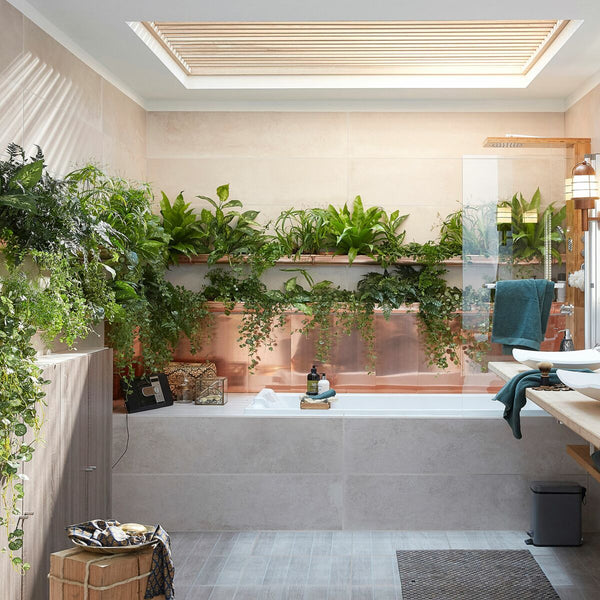 Top 5 des plantes Ă mettre dans sa salle de bain - La Green Touch - La Green Touch