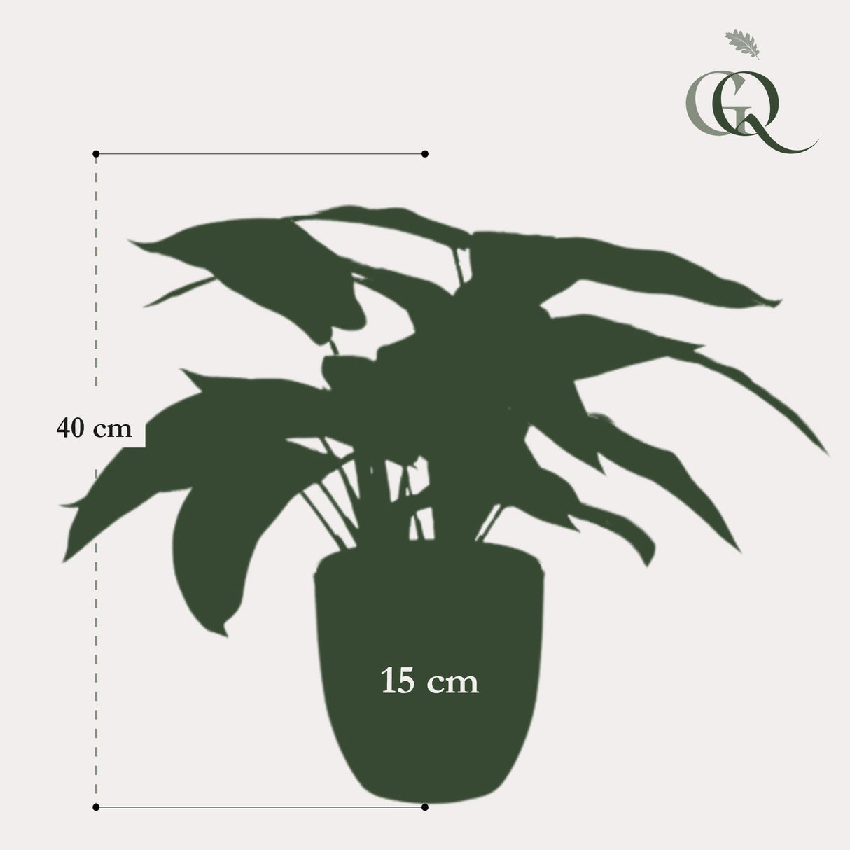 Livraison plante Calathea Zebrina plante artificielle - h38cm, Ø15cm