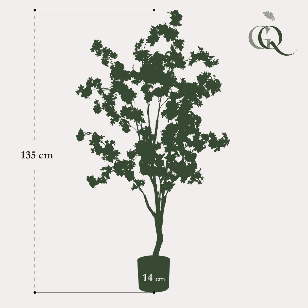 Livraison plante Cerisier artificiel blanc