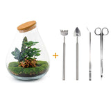 Livraison plante Kit Terrarium DIY - DOORN