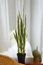 Livraison plante Sanseveria Trifasciata plante artificielle - h97cm, Ø12cm