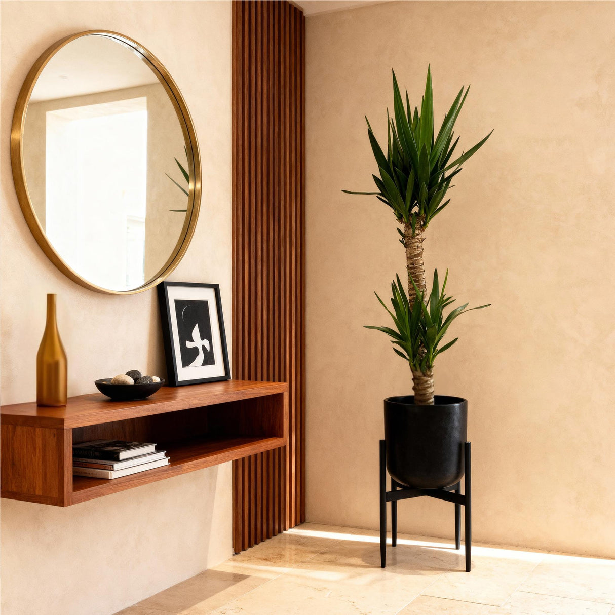 Livraison plante Yucca elephantipes – Lot de 2 – Pot 19 cm – Hauteur 120 cm