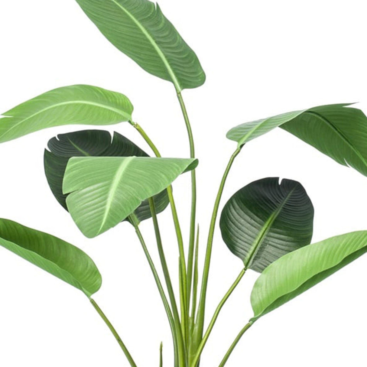Strelitzia en Pot plante artificielle