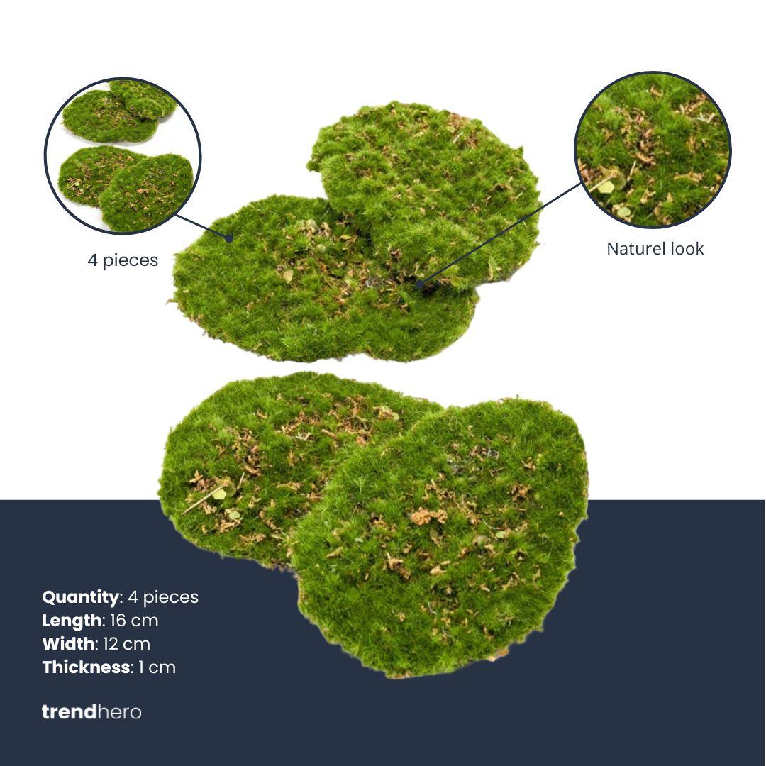 Mousse Plate plante artificielle