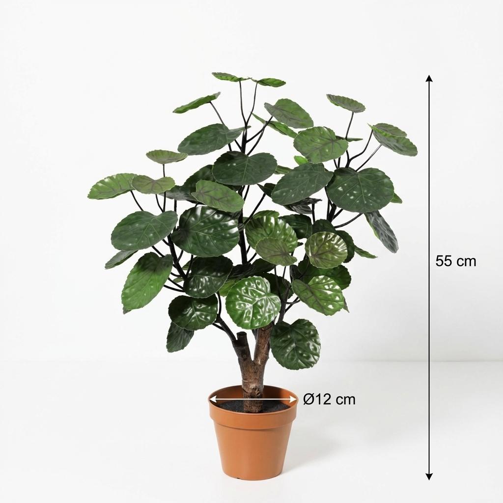 Polyscias Fabian plante artificielle