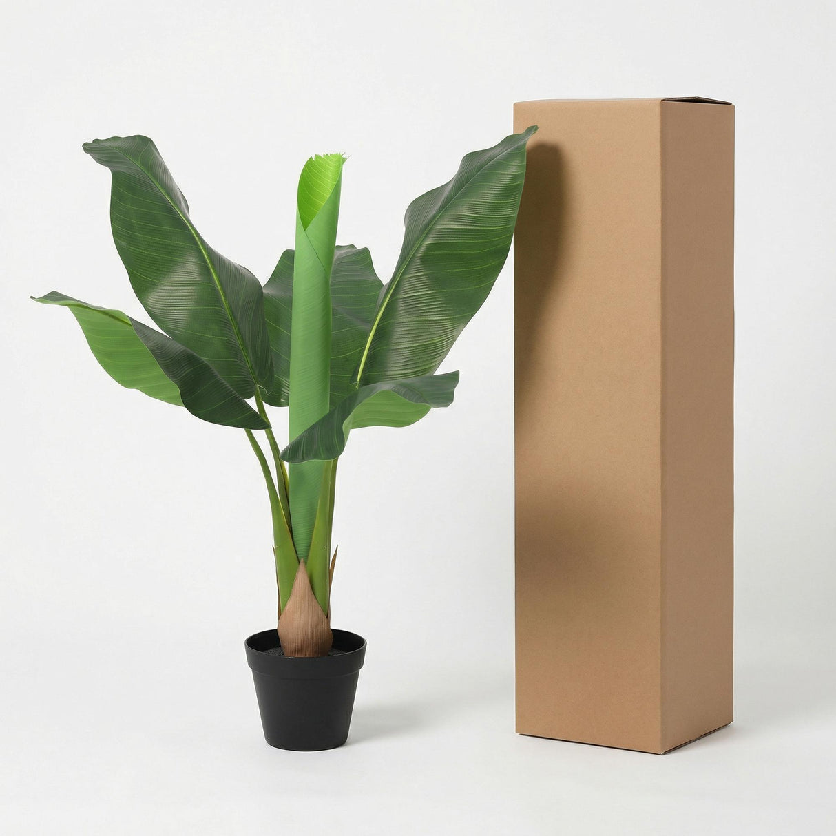 Bananier Musa plante artificielle
