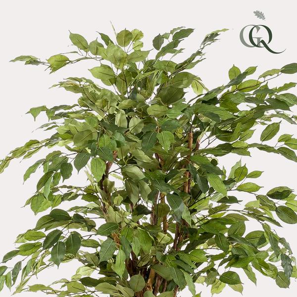 Ficus Liana artificiel h170cm