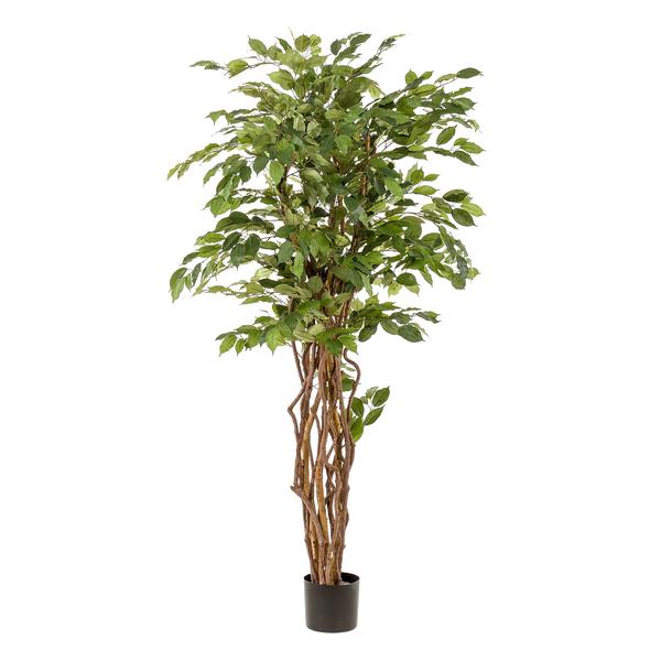 Ficus Liana artificiel h170cm