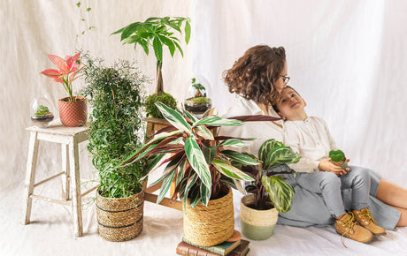 Dites-le avec des feuilles : La symbolique cachée derrière vos plantes de Fête des Mères