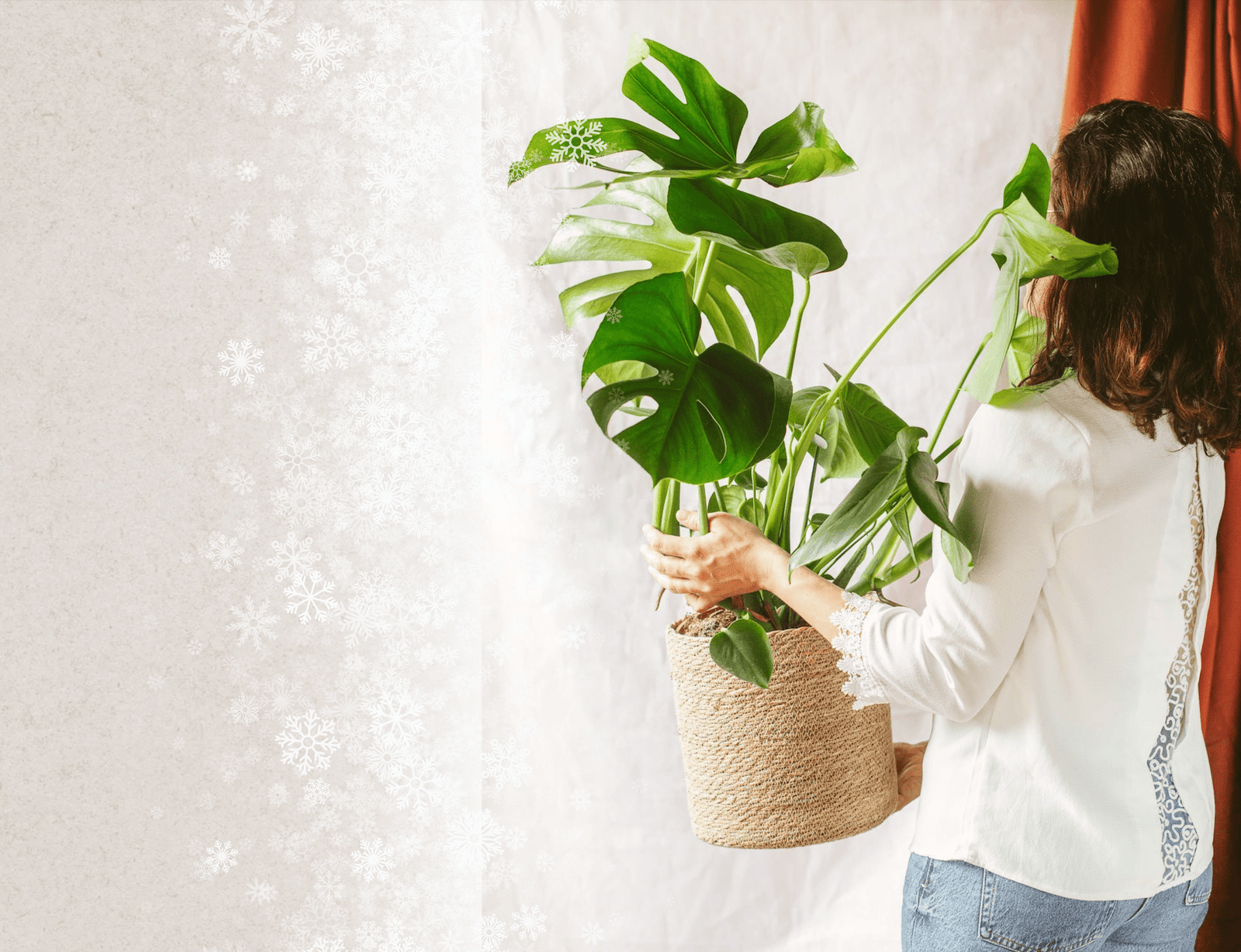 Comment réveiller ses plantes d’intérieur après l’hiver ? - La Green Touch