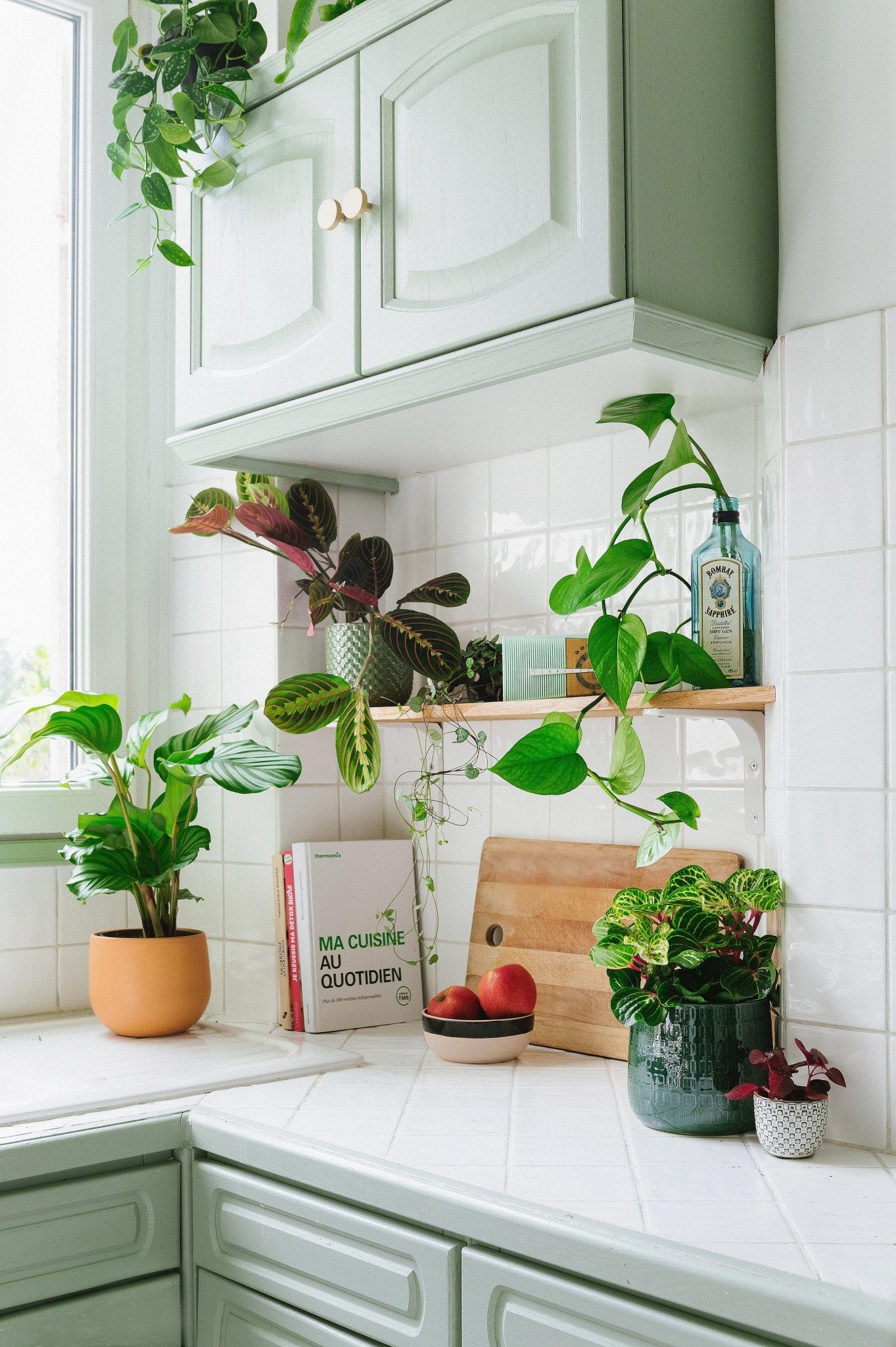 Les 10 conseils essentiels pour prendre soin de vos plantes d’intérieur en été - La Green Touch