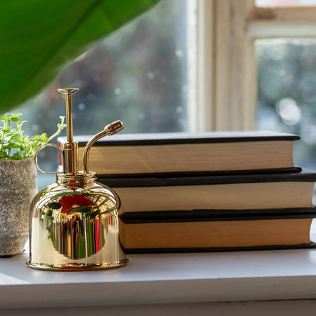 Quelles plantes brumiser en été ? Le guide pratique - La Green Touch