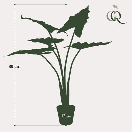 Livraison plante Alocasia artificiel - h80cm, Ø12cm