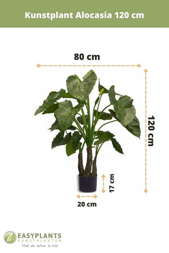 Livraison plante Alocasia - grande plante artificielle