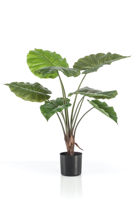 Livraison plante Alocasia plante artificielle - h70cm, Ø12cm