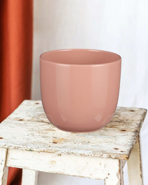 Oslo Salmon planter