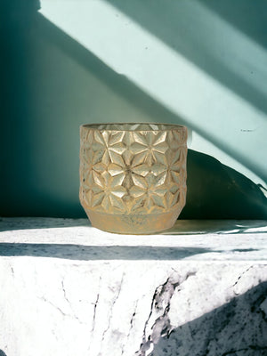 <tc>pot holder</tc> Shiny Gold D15