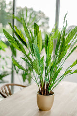 Livraison plante Calathea - grande plante artificielle