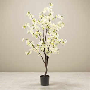 Livraison plante Cerisier artificiel blanc