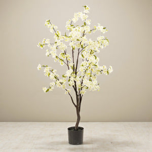 Livraison plante Cerisier artificiel blanc