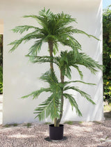 Livraison plante Cycas - Palmier artificiel