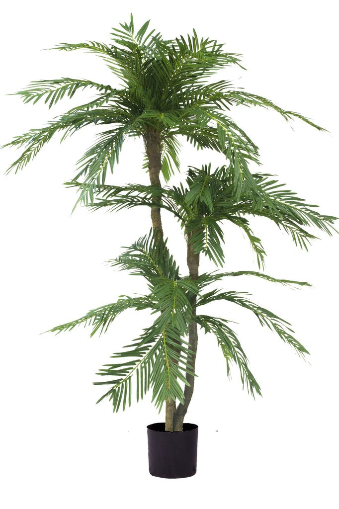 Livraison plante Cycas - Palmier artificiel