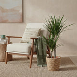 Livraison plante Dracaena Marginata et pot H95 cm