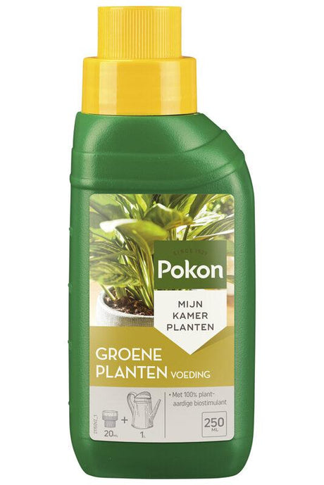 Livraison plante Engrais pour plantes d'intérieur - 250 ML