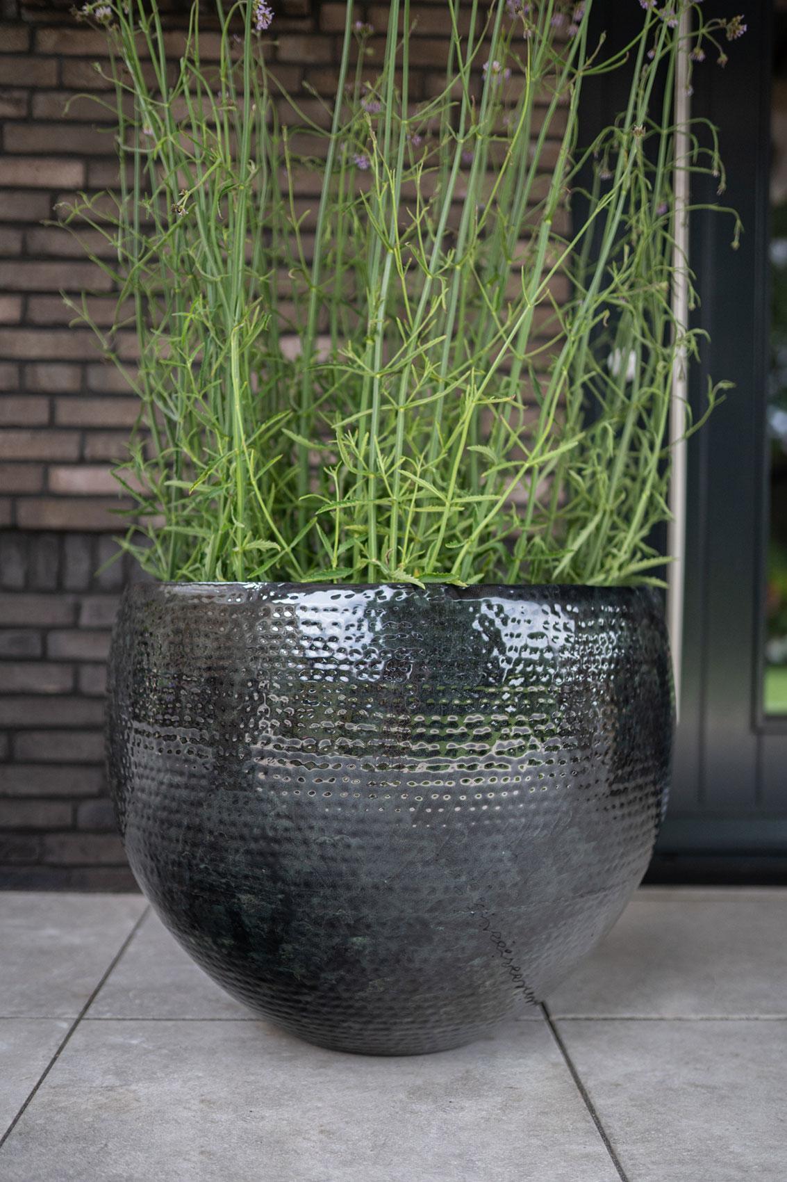 Livraison plante Ensemble de 3 pots - Thom noir métal - Largeur 54 cm