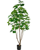 Livraison plante Ficus artificiel