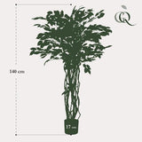 Livraison plante Ficus liane artificiel