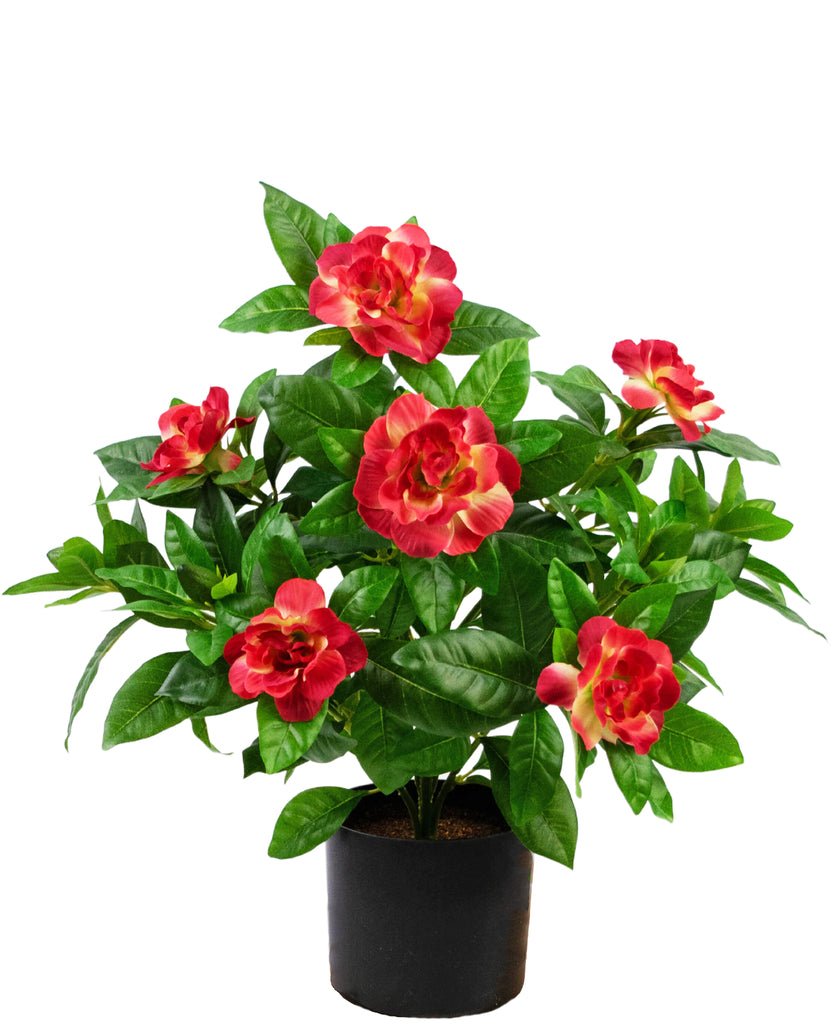 Livraison plante Gardenia artificielle fuchsia