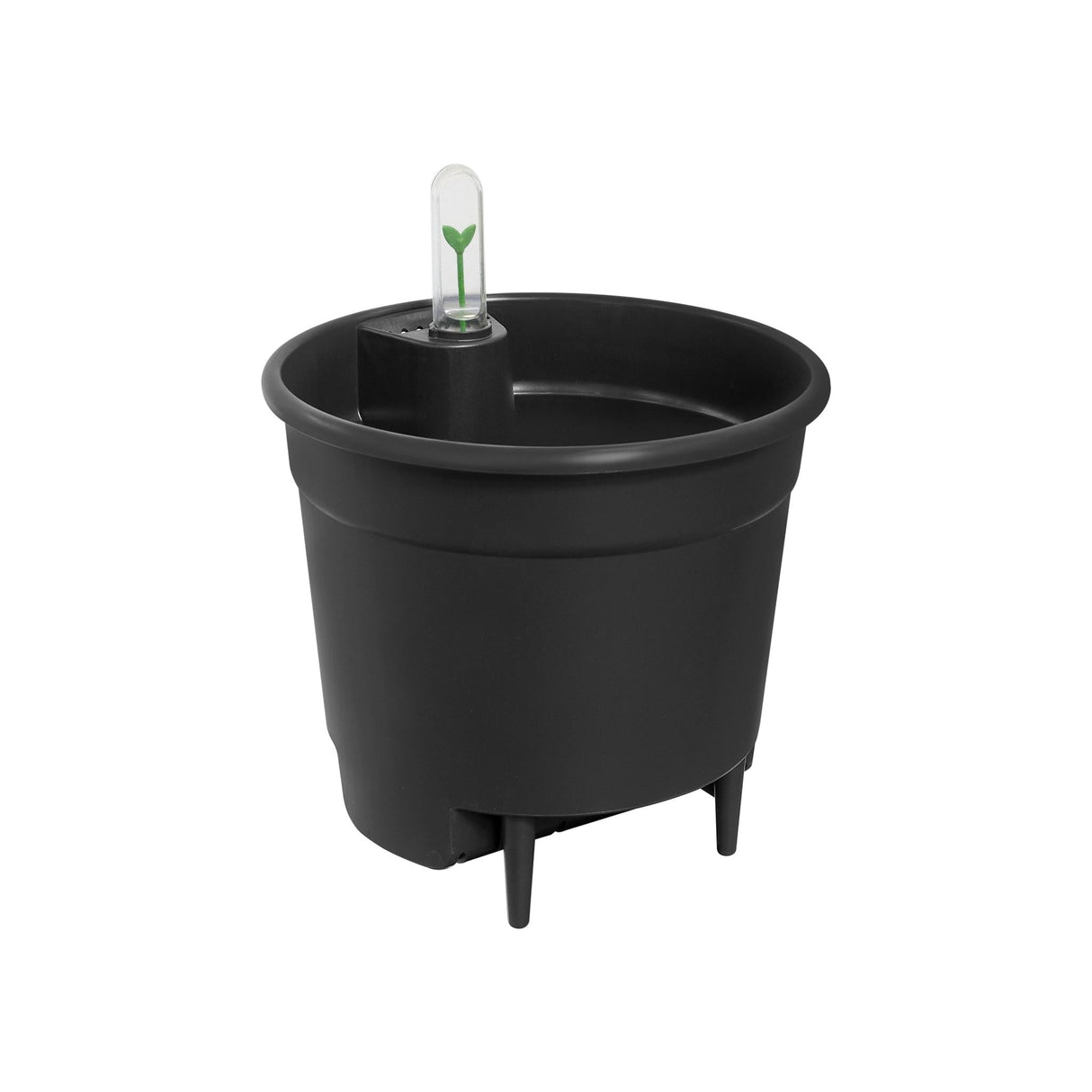 Livraison plante Insert Auto - Irrigant - 28 cm