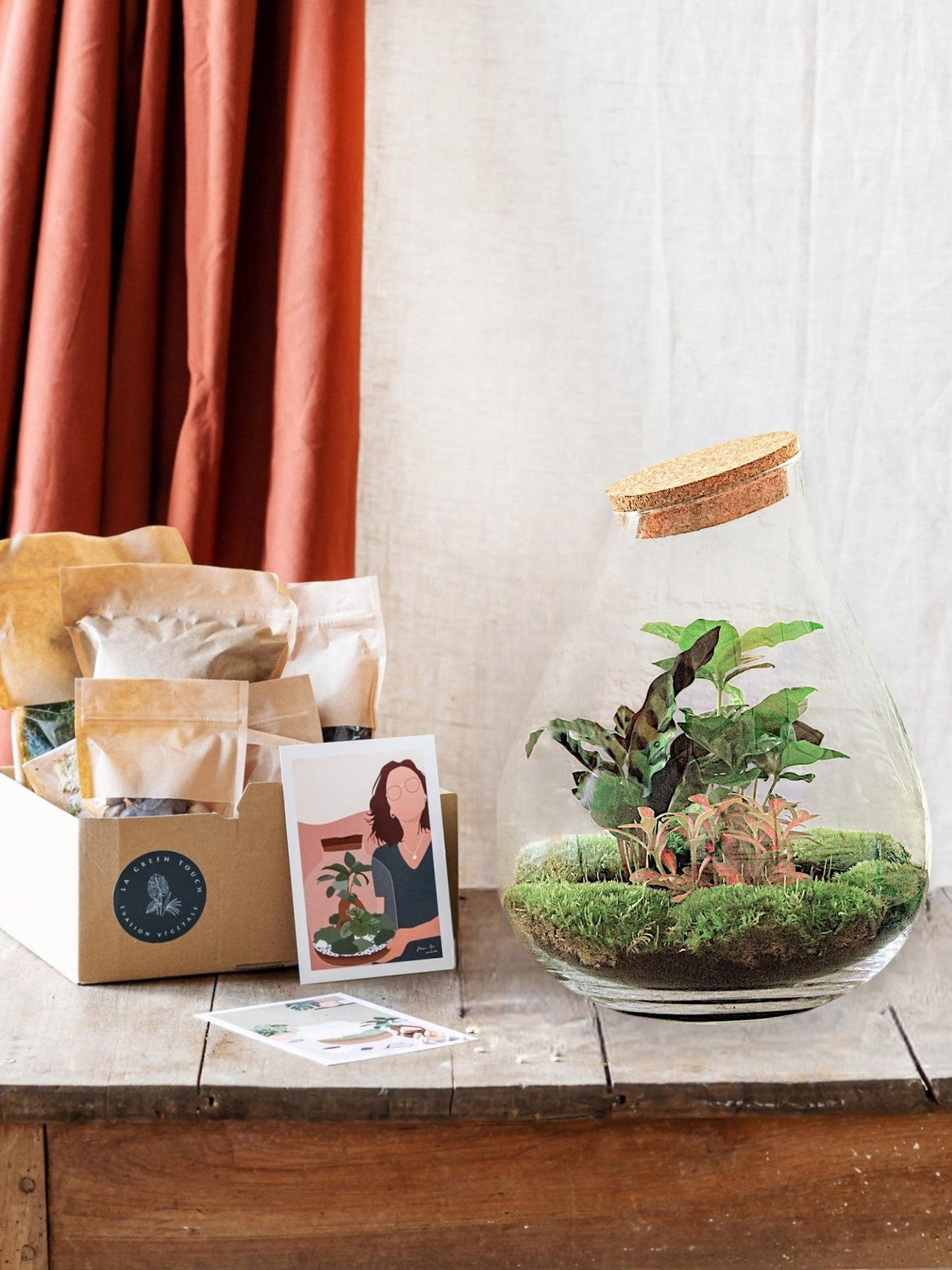 Livraison plante Kit Terrarium DIY - DOORN