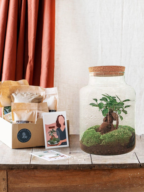 Livraison plante Kit Terrarium DIY - MILA