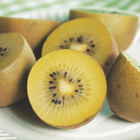 Livraison plante Kiwi doré Actinidia deliciosa – Lot de 2 – Pot 15 cm