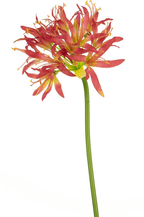 Livraison plante Nerine artificielle fuschia