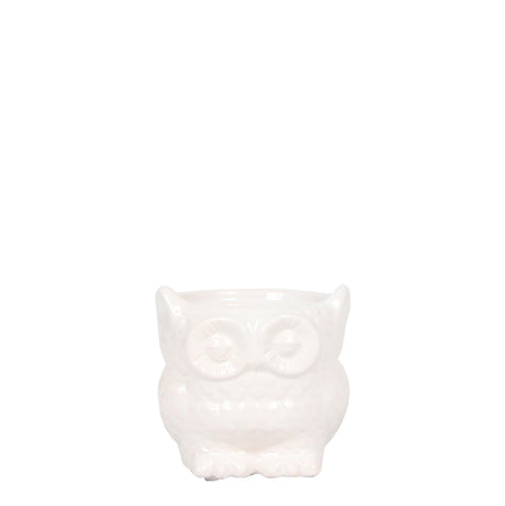 Livraison plante Owl Bloempot - Pot Hibou en Céramique Blanche