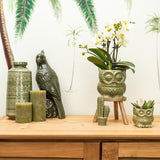 Livraison plante Owl Bloempot Vert - Pot Décoratif Keramique