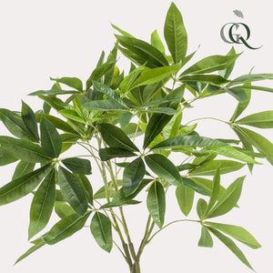 Livraison plante Pachira aquatica artificiel