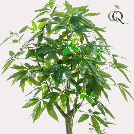 Livraison plante Pachira Aquatica plante artificielle - h150cm, Ø17cm