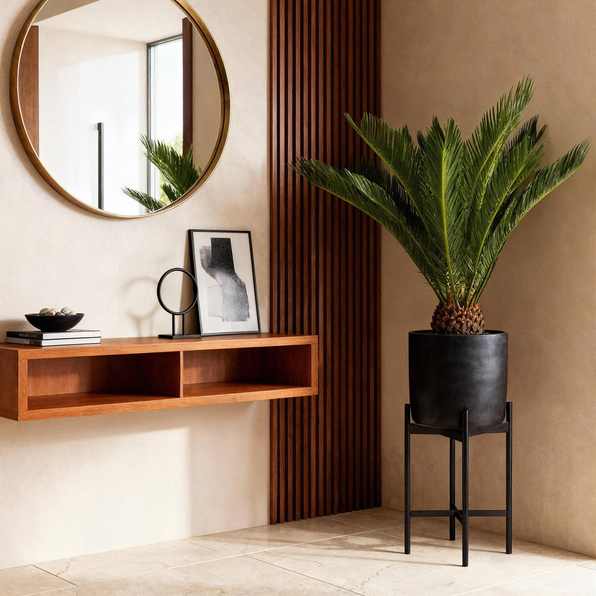 Livraison plante Palmier sago Cycas revoluta – Lot de 2 – Pot 17 cm