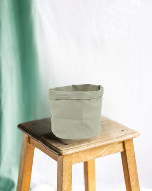 Jade Plant Basket 22 cm