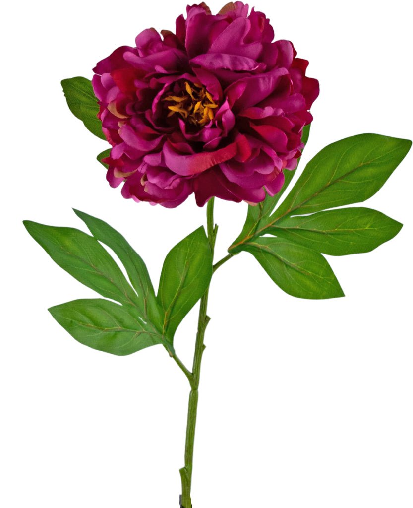 Livraison plante Pivoine artificielle violette