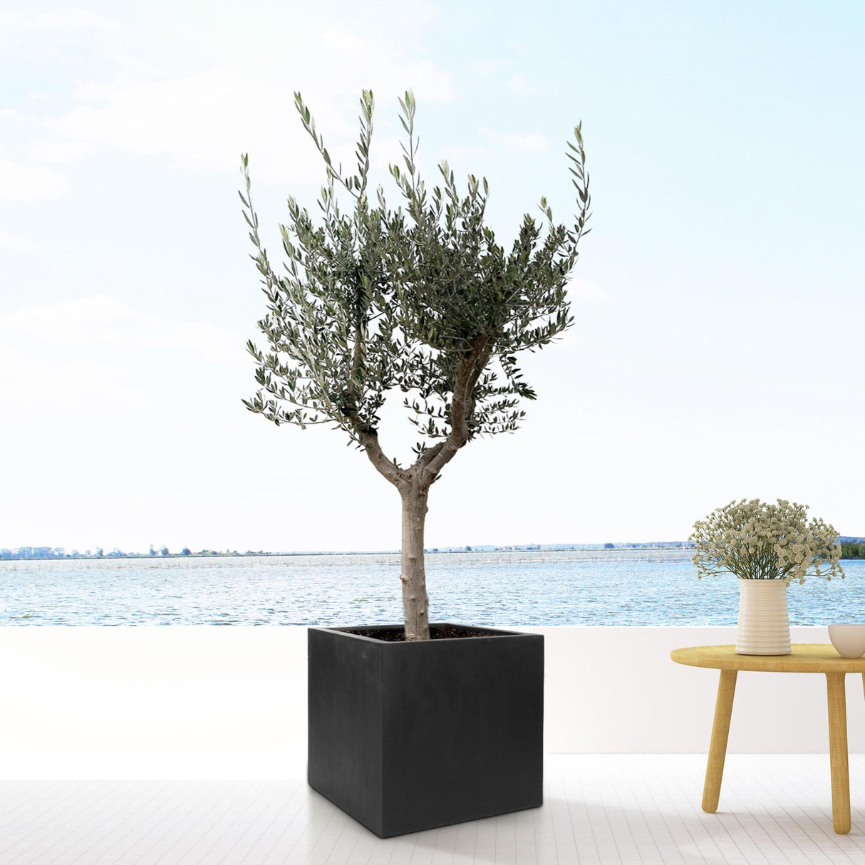 Livraison plante Pot Block Noir 30 cm