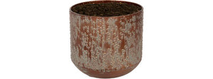 Black Lian pot 15 cm