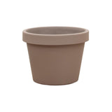 Livraison plante Pot Lira Tortora 65 cm